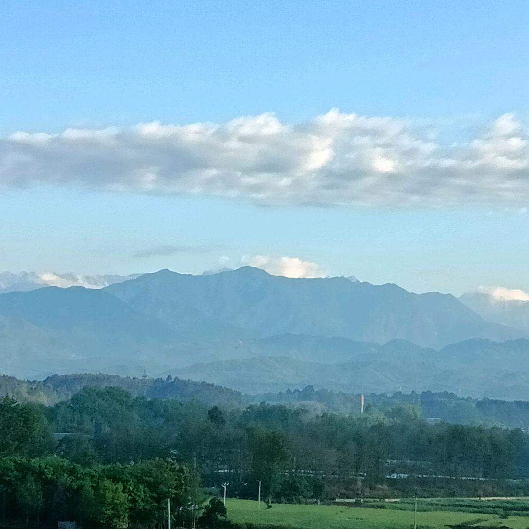 如柒