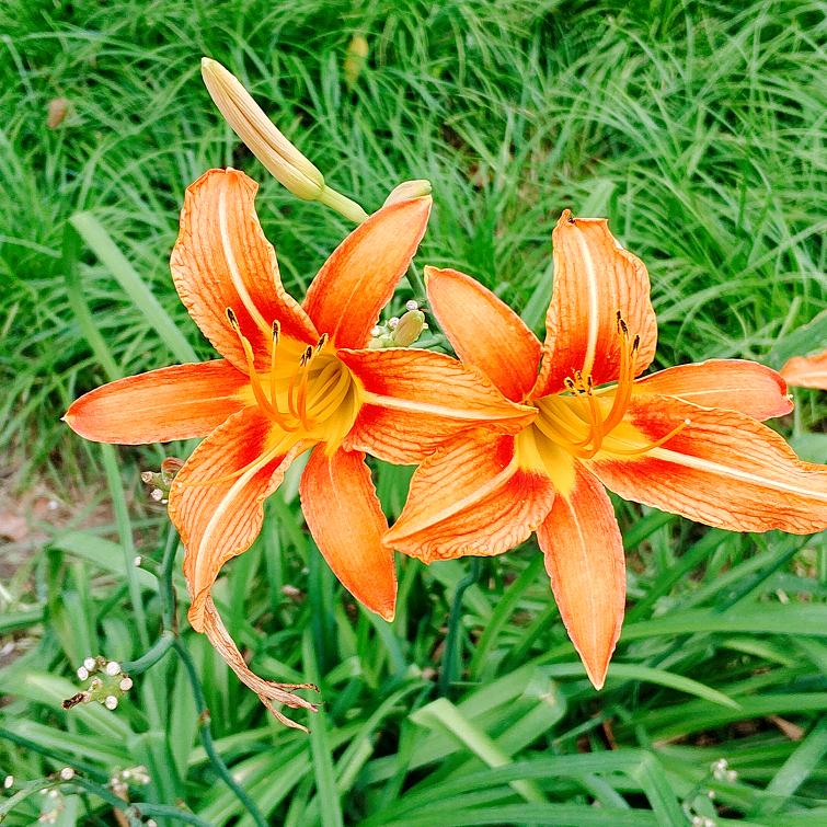 诸城体育馆羽毛球🏸陪练