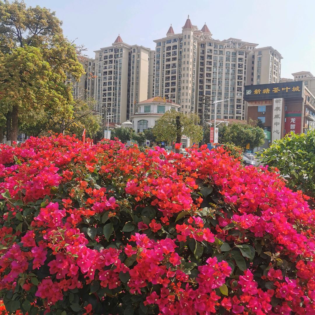 快乐人生🌹@抖音