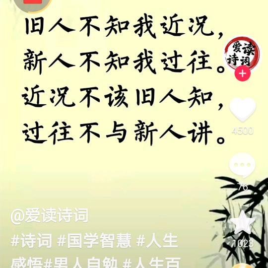 张而不扬