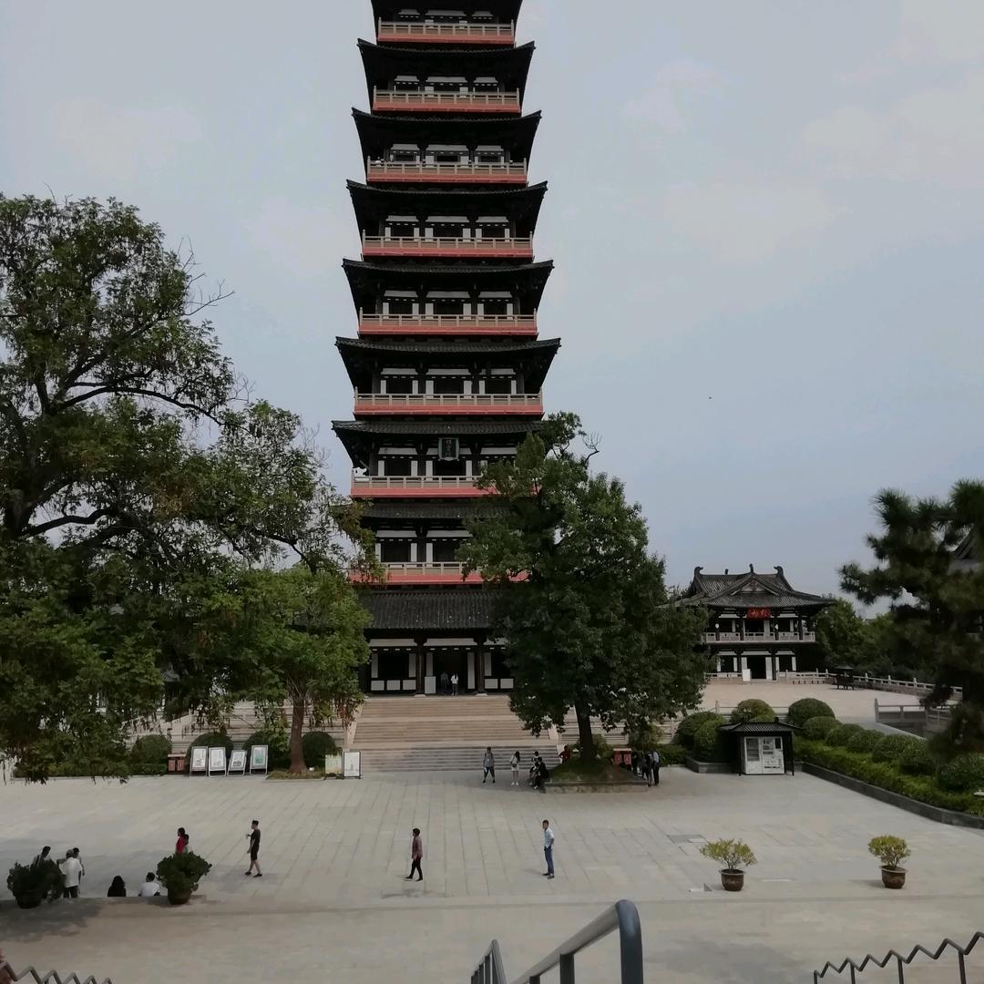 九月的兔