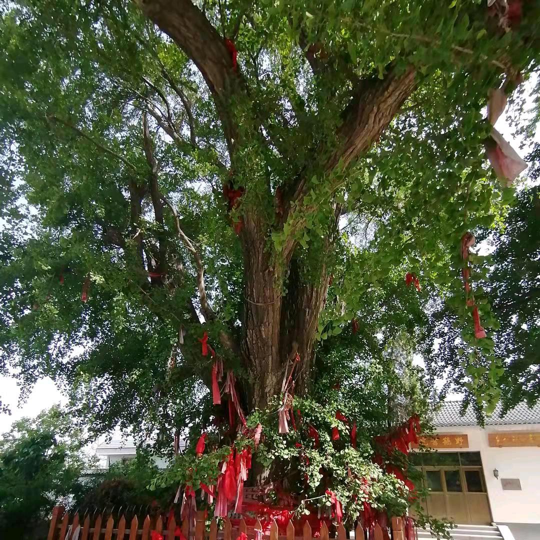 佛渡有缘人