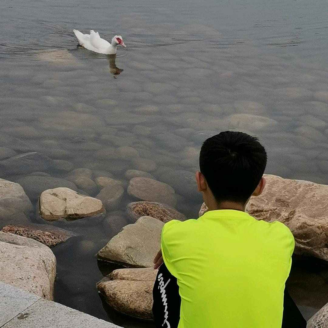 多米