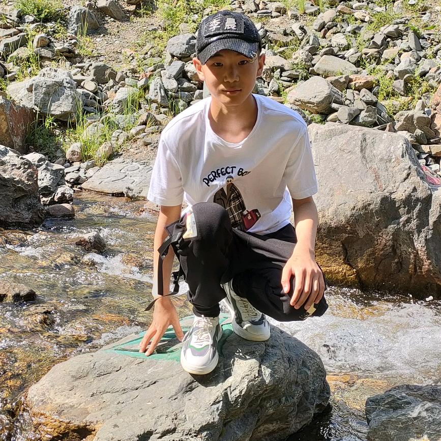 @杨金@