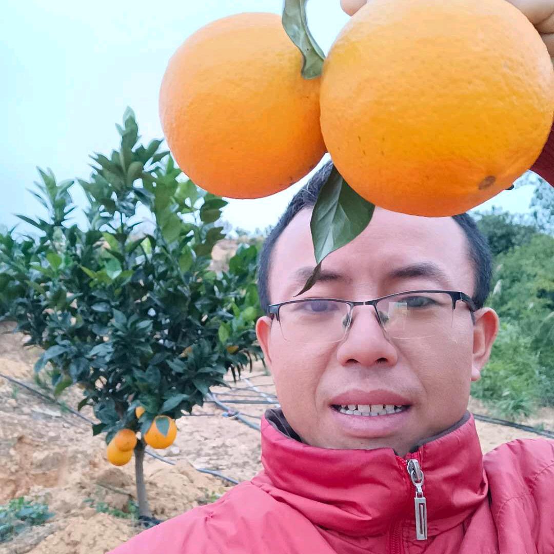 橙大帅