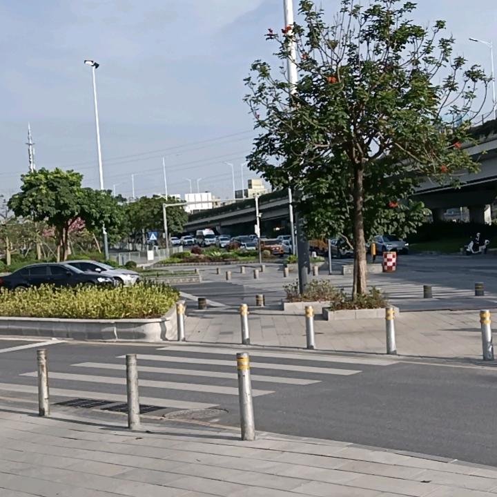 谢国富