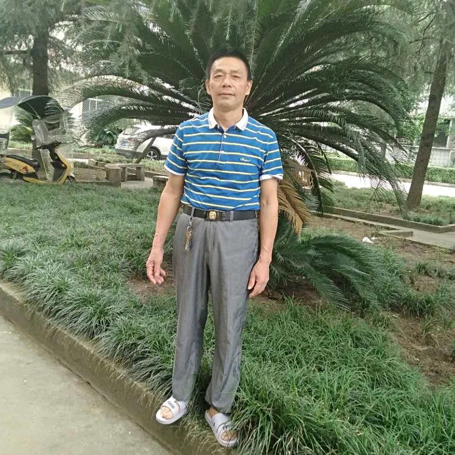 徐代奎