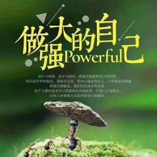 窝瓜