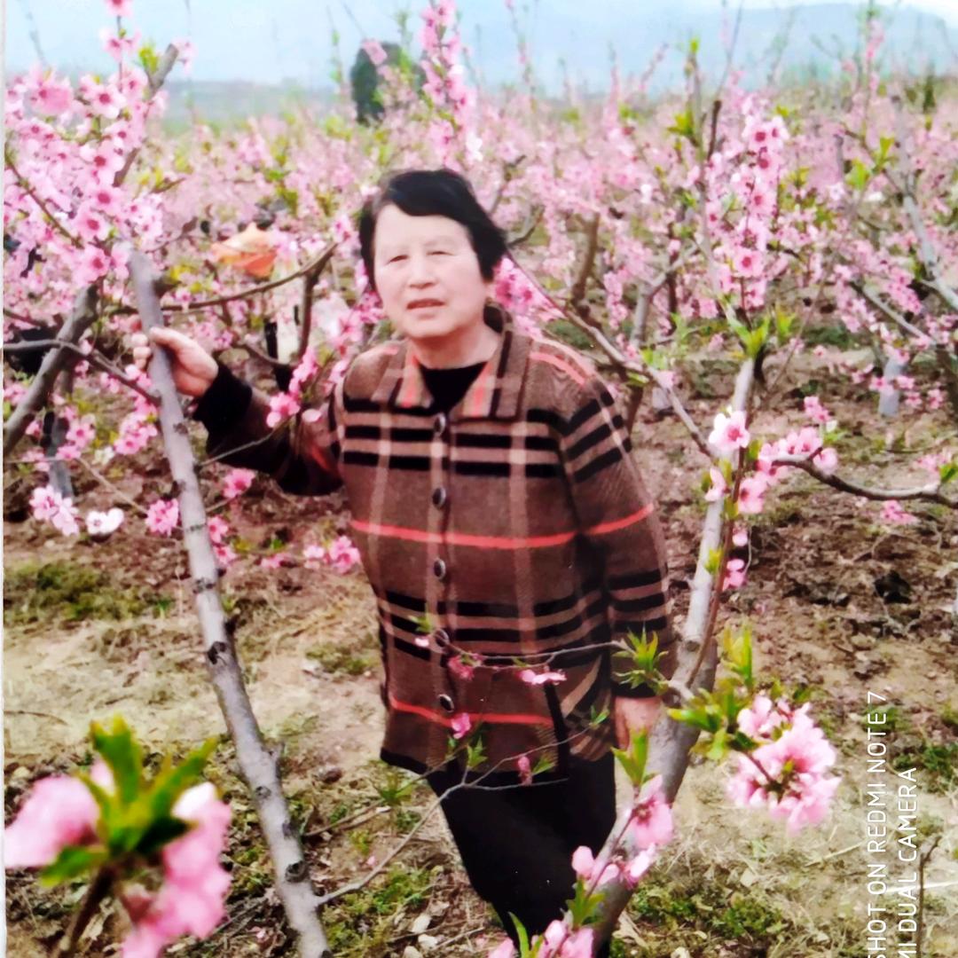 秦腔爱好者