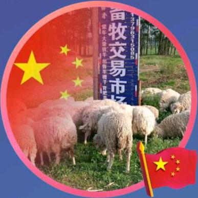 讷河市绿禽牲畜交易市场