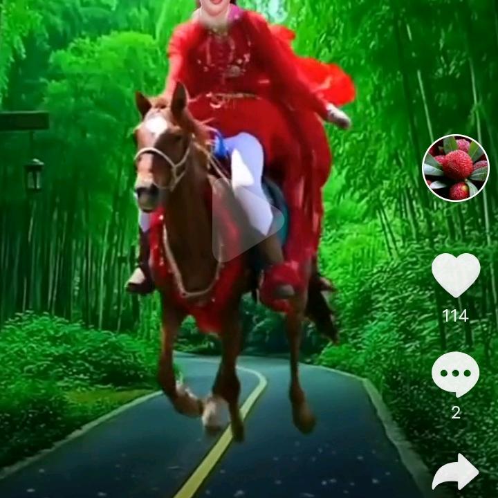 改变不了自己