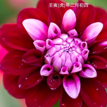 用户7814434184853