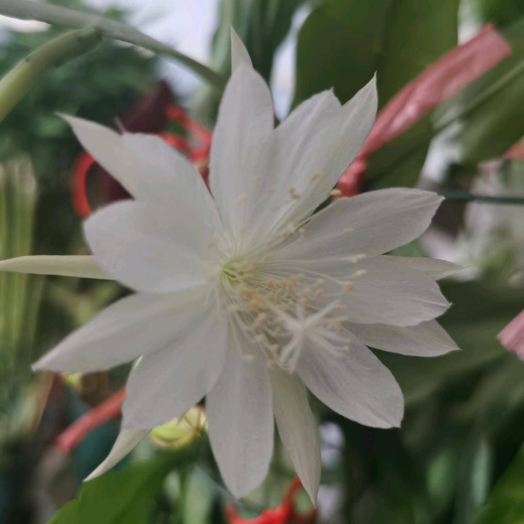 简单就是快乐_200