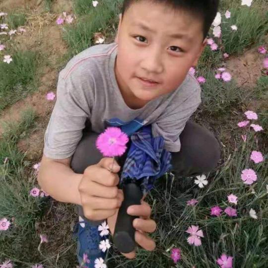 张丽英