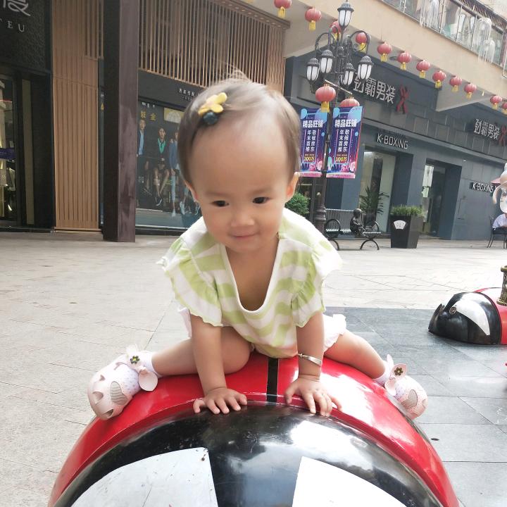美的小刘