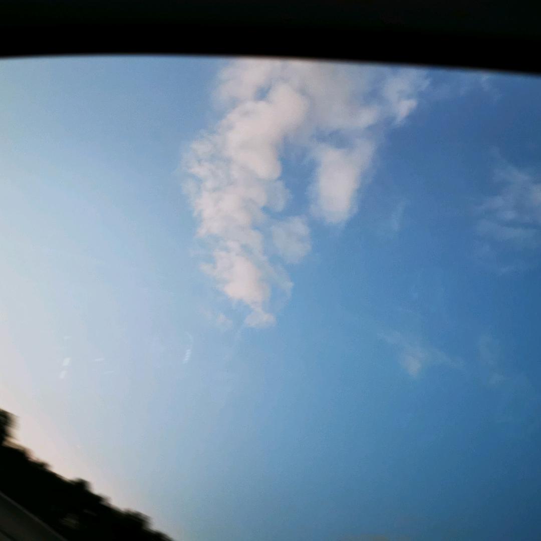 掌心の温暖
