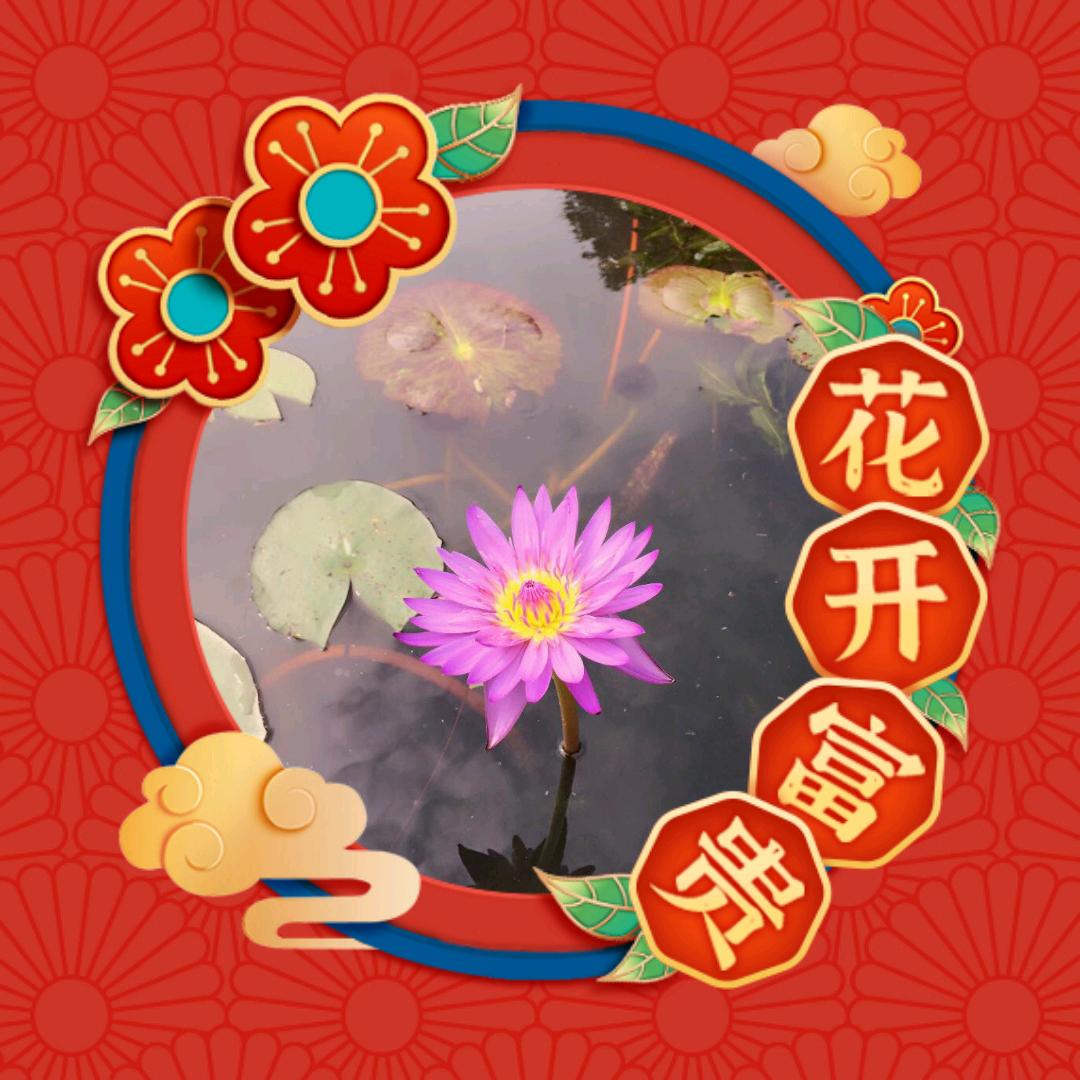 荣