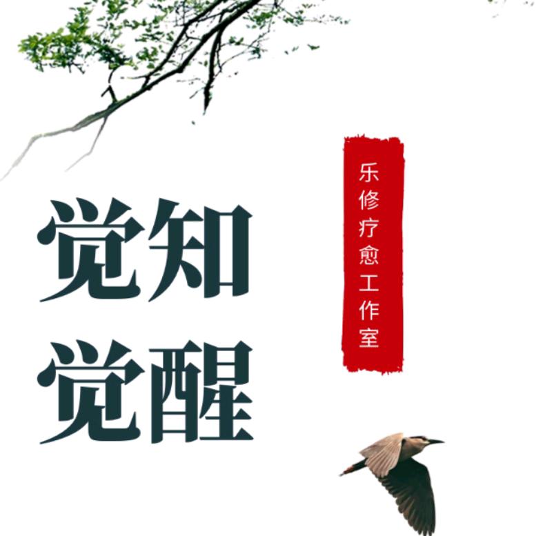 乐修身心疗愈