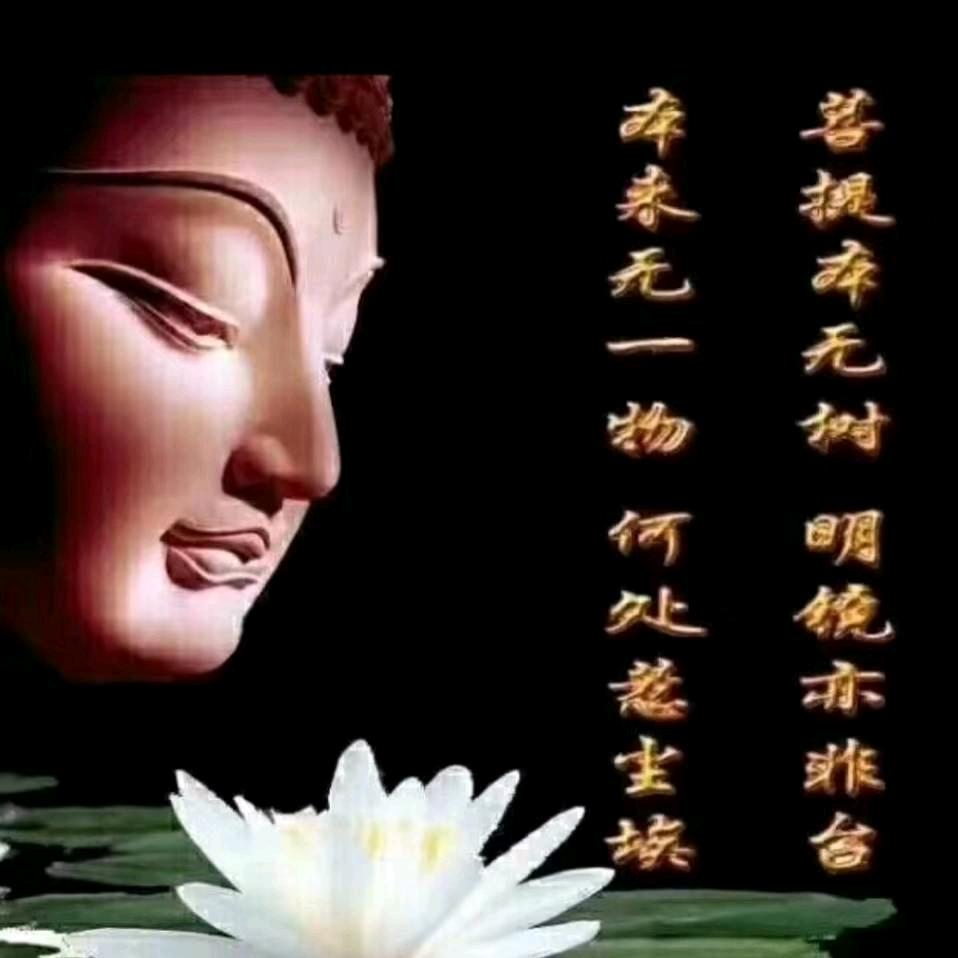 ♡(❀ฺ•玄丰•❀ฺ)♡