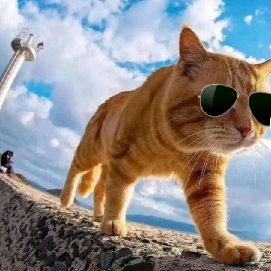 🌛在道一句晚安