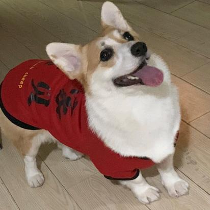 之之哥哥