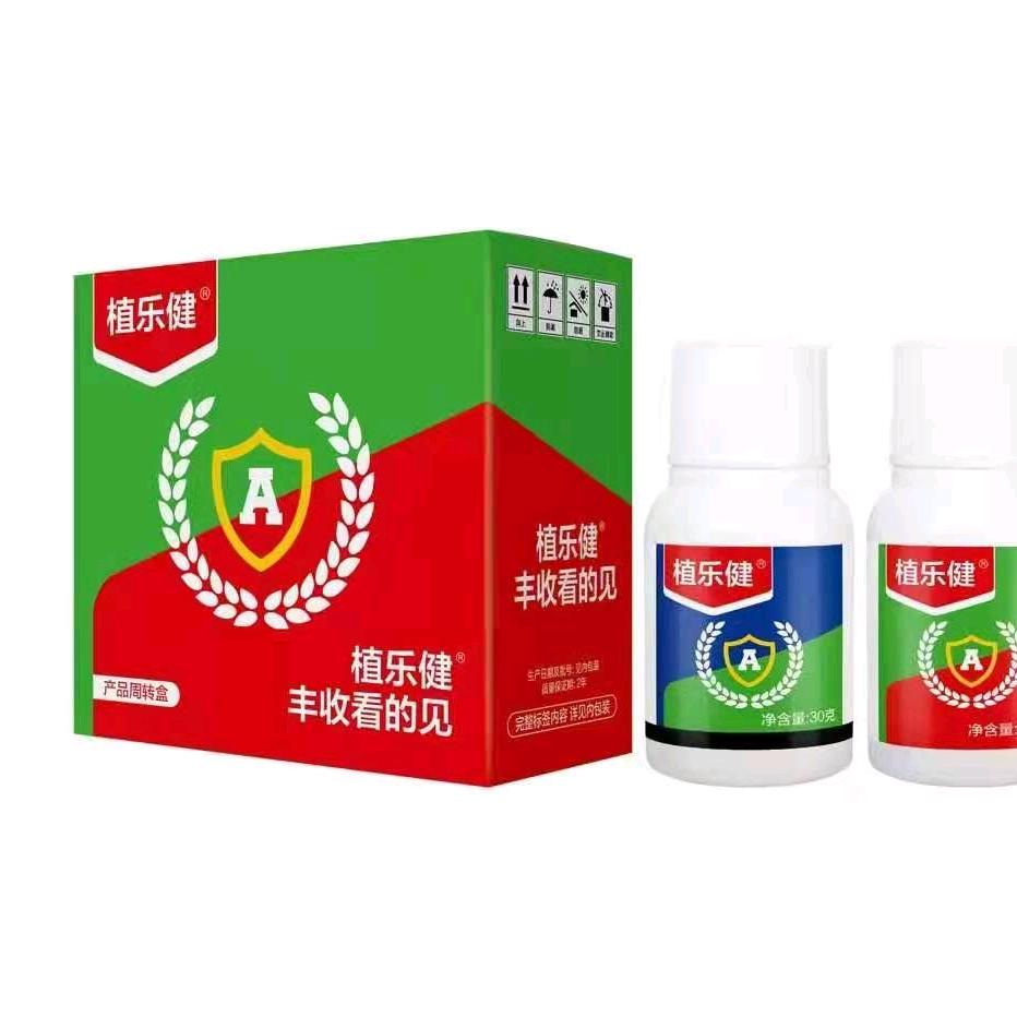 利辛丰诚农业王慧锋
