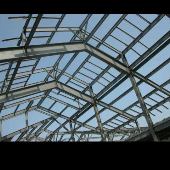 专业钢结构