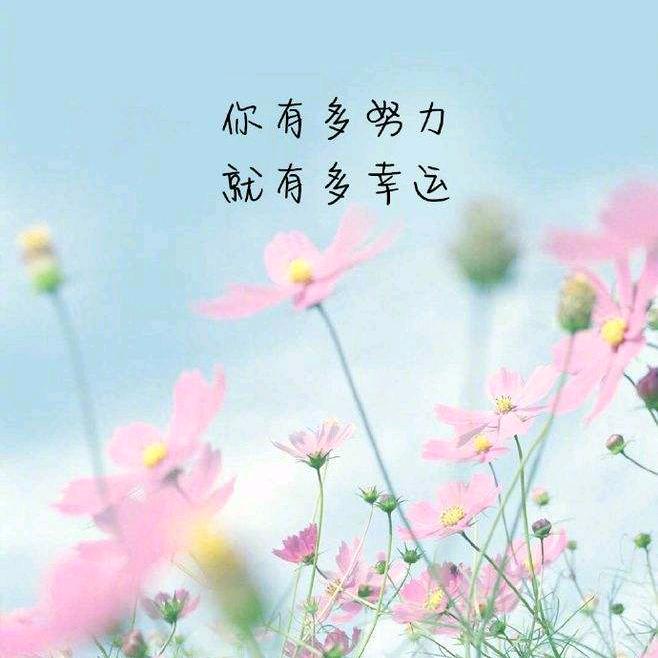 木兰