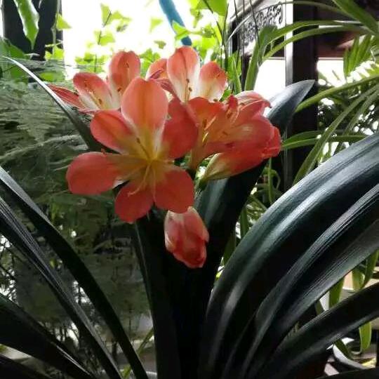 随遇而安