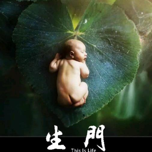 见与不见