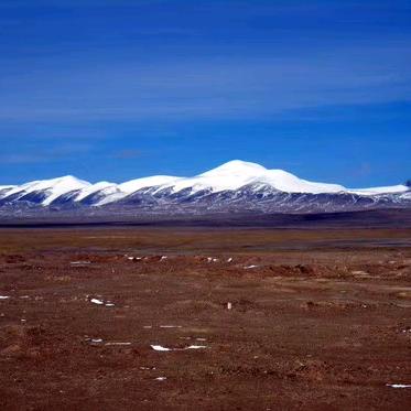 汝南县猫爪草种植