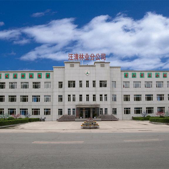 吉林长白山森工集团汪清林业分公司
