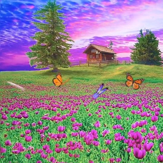 成功: 分享好物 (不定时开播)