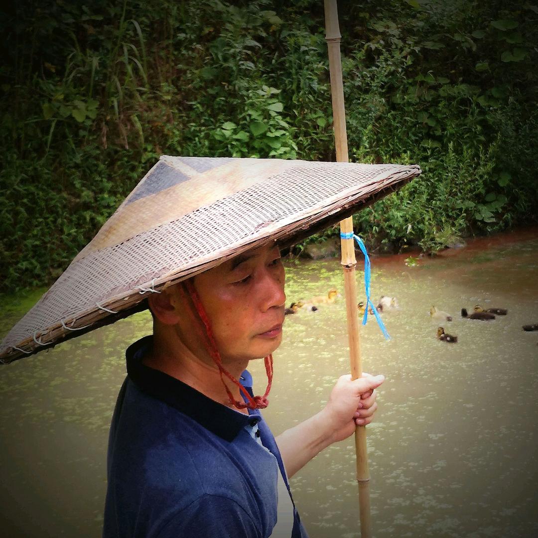 三穗鸭歌