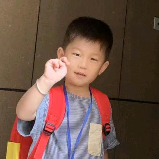 杨立红