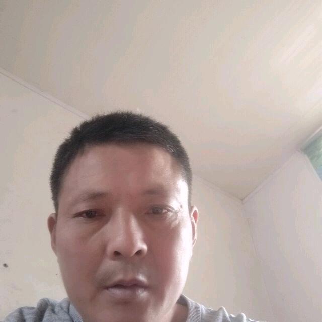 通秦达理