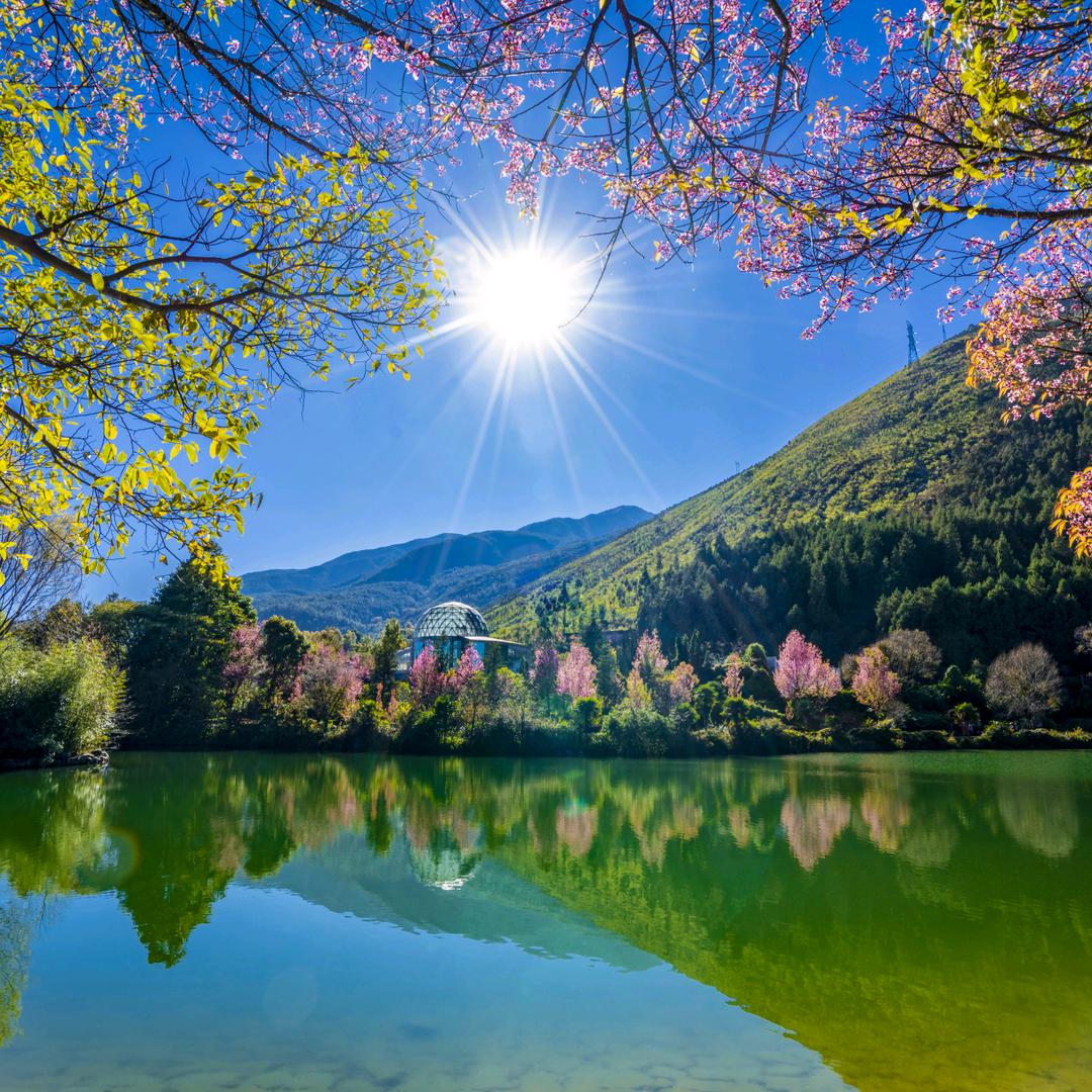 大理蝴蝶泉景区