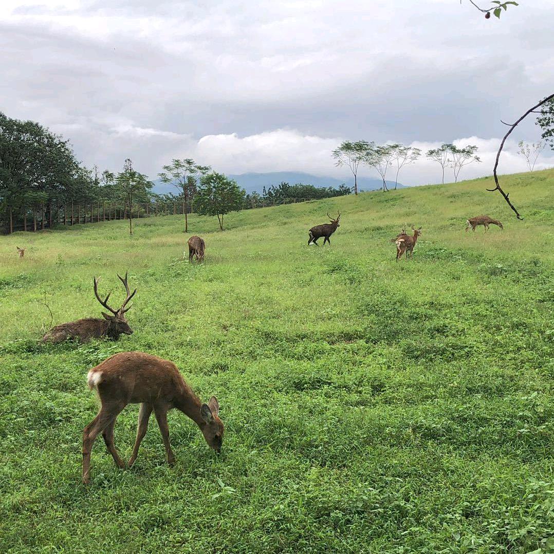 贪吃小鱼（傻冰冰）