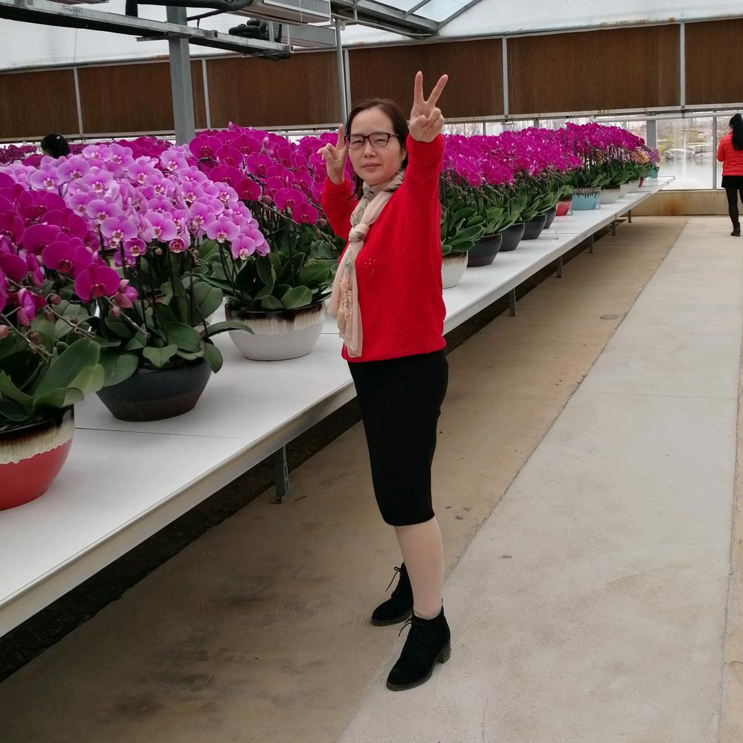 顺🌷其🌷自🌷然