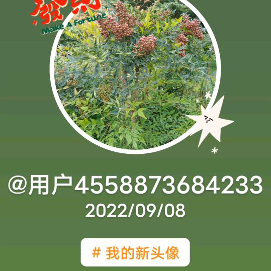 🥀এ᭄累了ꦿ谁💔疼ོ࿐ᩚ