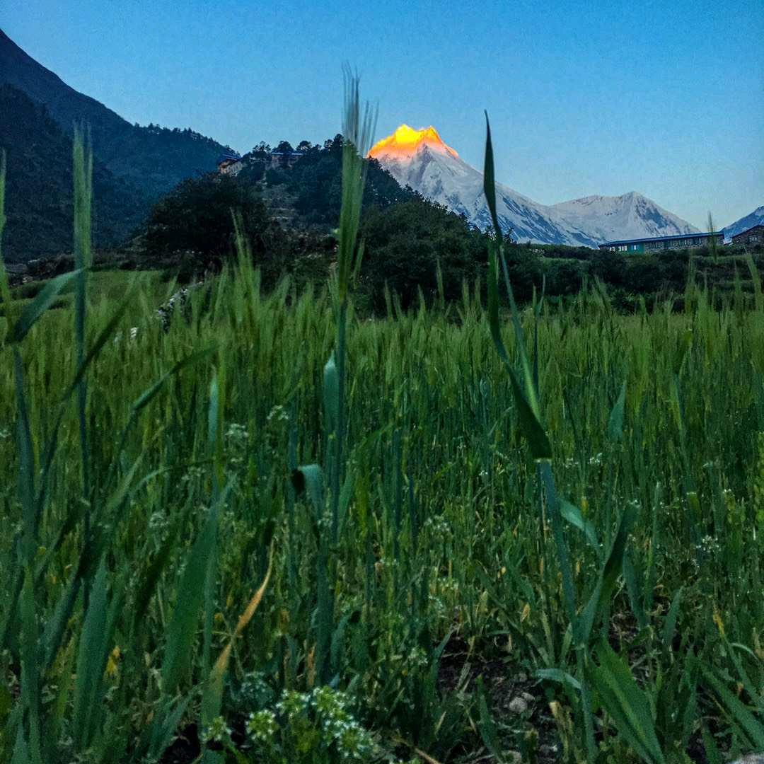 巴～次