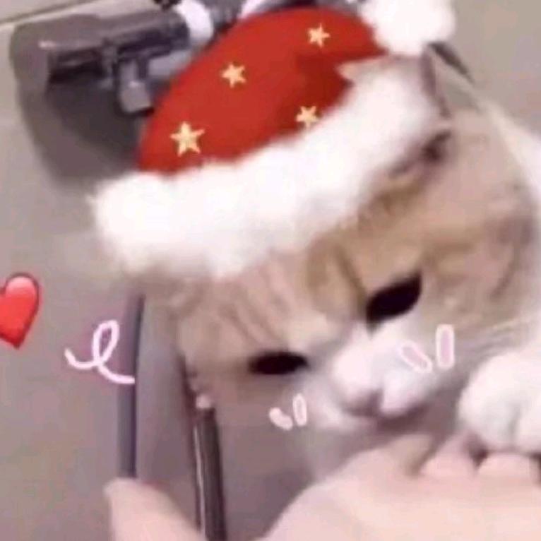 久 ^夏