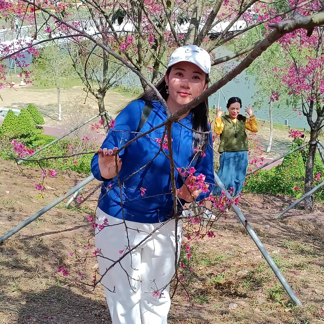粤剧蔡崔琴