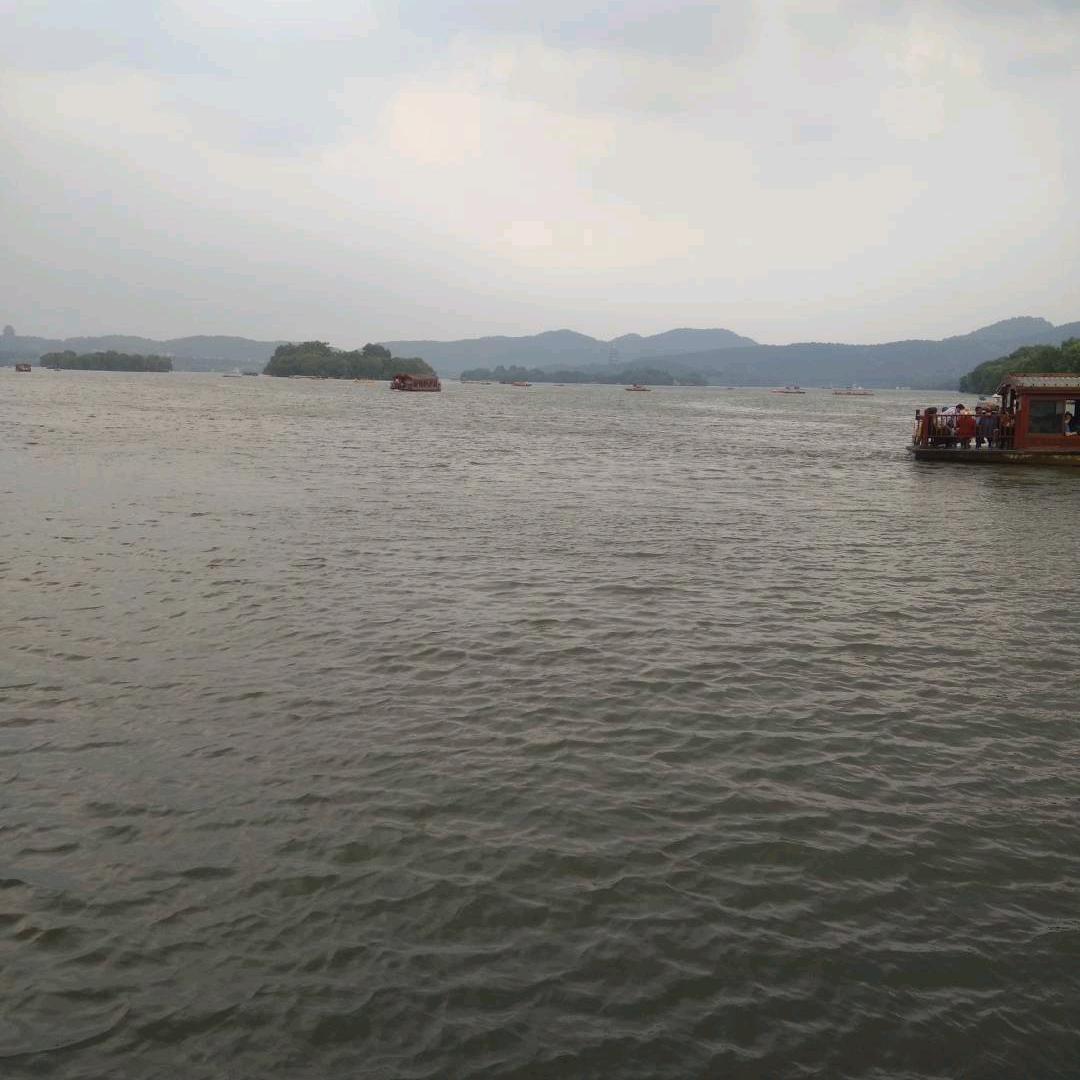 我行我順