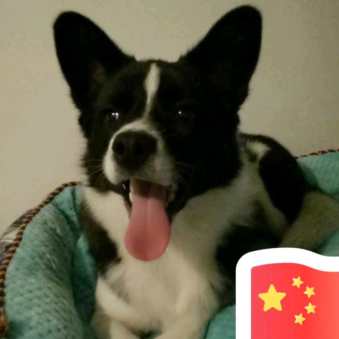 🌈小凯5.5🌙