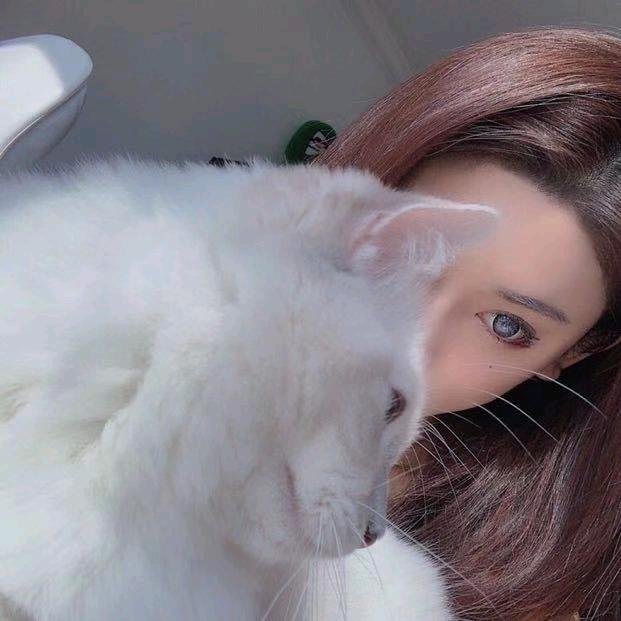 草莓冰