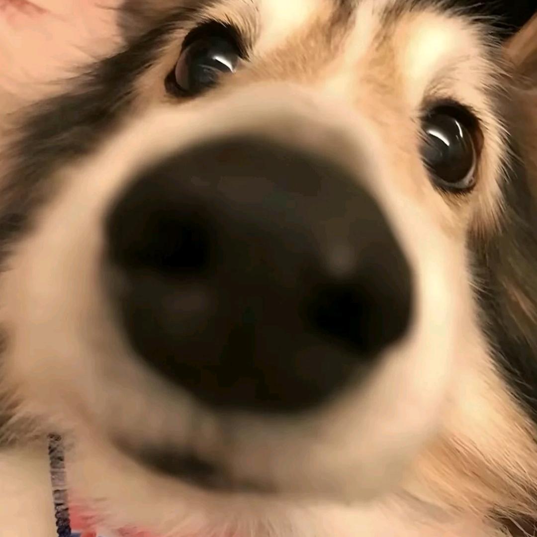 程程笑呵呵