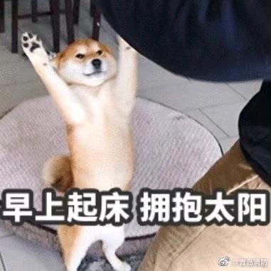 冬天的鱼
