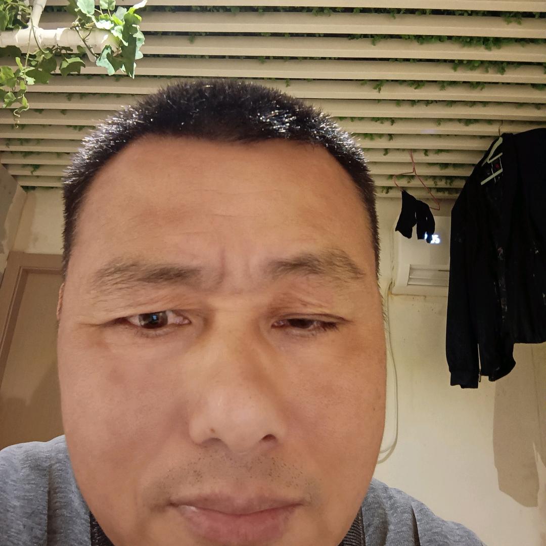 金小哥