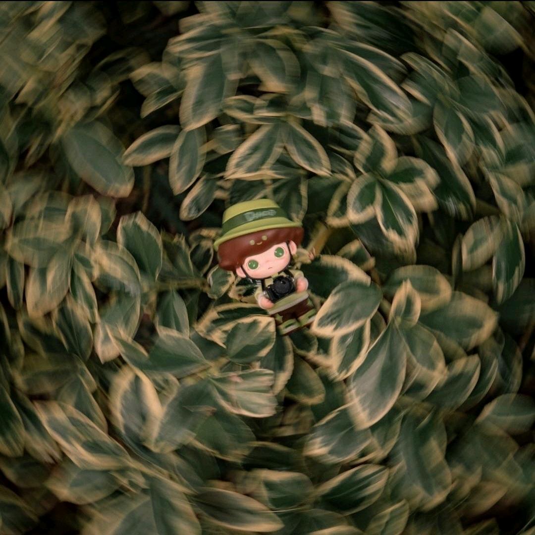 木木带你玩